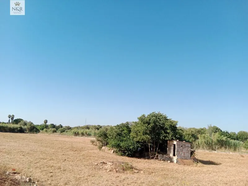 Rural or Farmhouse in Búger, Province of Balearic Islands — photo 10