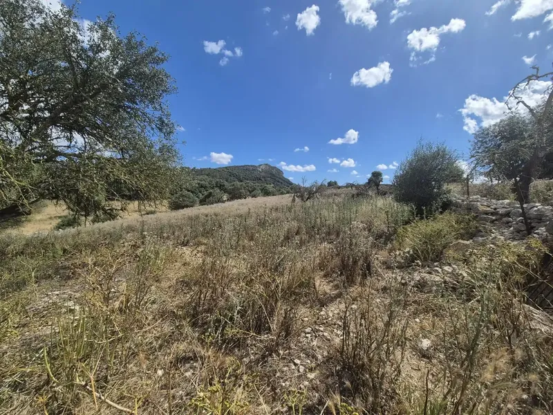 Impressive rustic estate located in the charming town of Sineu — photo 12