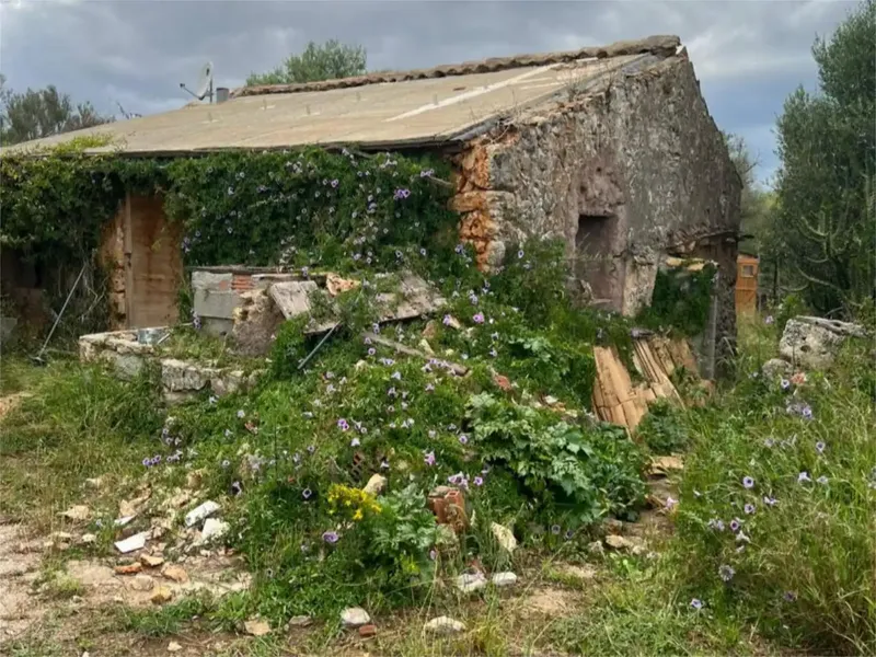 Land for sale 14,500 m², tool shed 30 m², natural water well, another large house can be built — photo 1