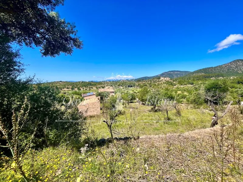 Land in Alaro, Mallorca — photo 5