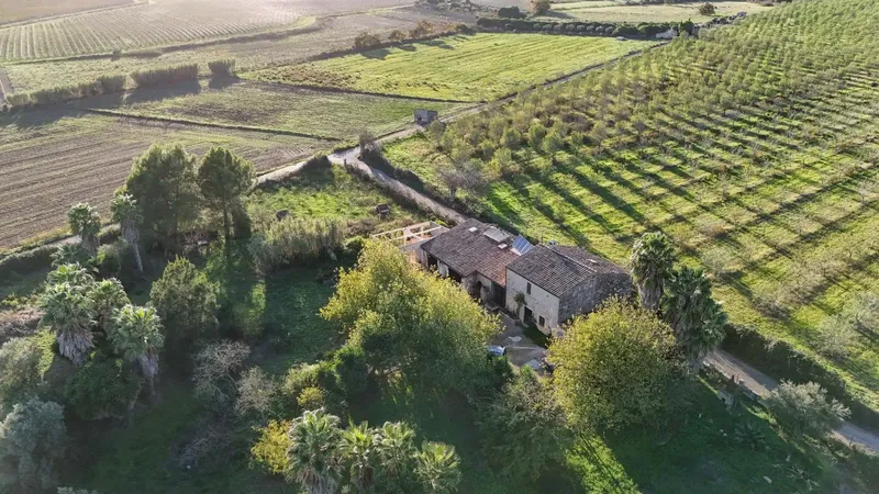 Spacious rustic finca for sale with occupancy certificate in Petra, on a plot of more than 19,000 m2 with especially fertile land — photo 1