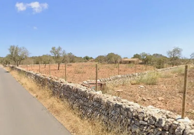 For rent: Plot of 5,000 m² with small house in Santanyí – Ideal for horses — photo 6