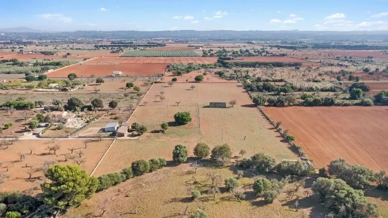 Finca of 24,823 m2 in Búger, currently with 337 m2 built, divided into 217 m2 of house with stables, a 60 m2 building, 147 m2 — photo 6