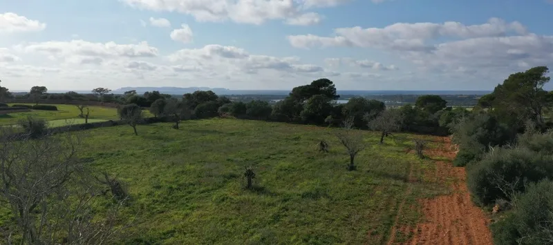 Plot with views to the sea and the island of Cabrera in the beautiful area of Es [...] — photo 1