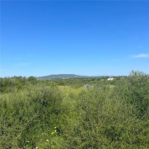 Building plot of approx. 23,000 m² — photo 3
