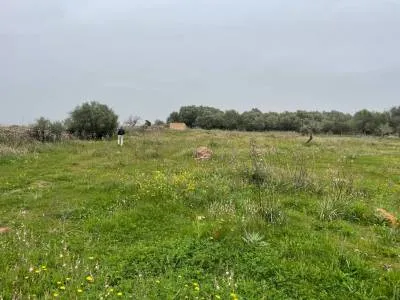 Rural land in Santa Margalida, plot surface 25,574.5 m² — photo 7