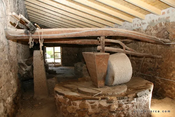 Rustic Finca for sale in Pollença, Mallorca, Baleares, Mallorca — photo 3