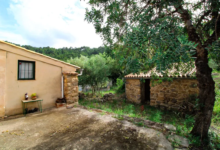 Ref.2463C – Charming Traditional Mallorcan Finca — photo 12