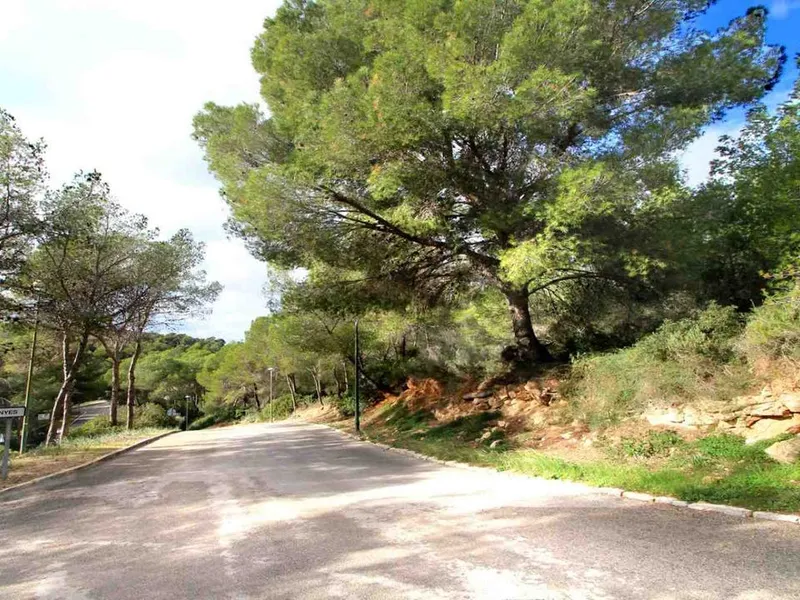 Land in Cala Vinyes, Mallorca — photo 4