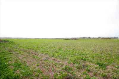 Building land in Villafranca — photo 1