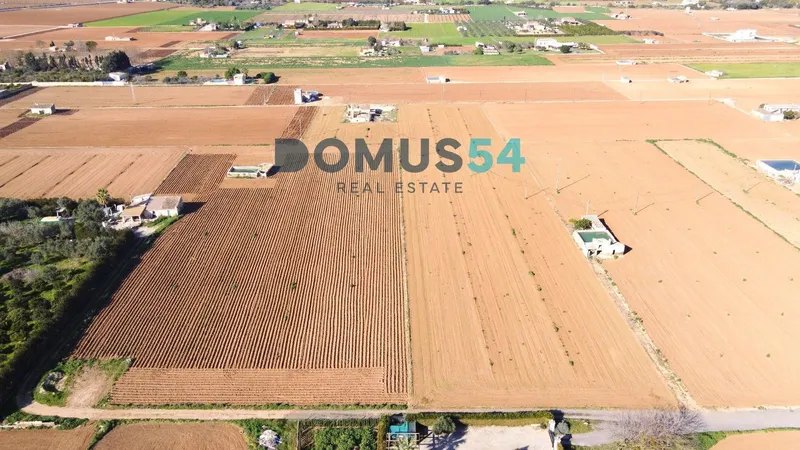 Rustic building plot in Sa Pobla — photo 6
