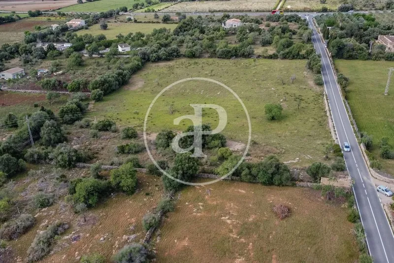 Land in Artà, Province of Balearic Islands — photo 11