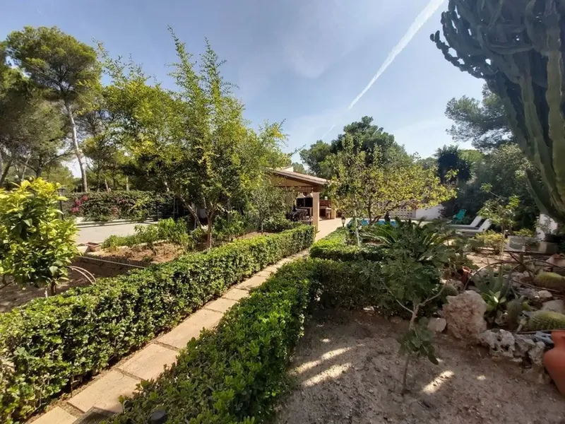 In the municipality of Calvià in Santa Ponça we find a plot of more than 1000 m2 with a Mediterranean-style construction of 247 m2, near — photo 11
