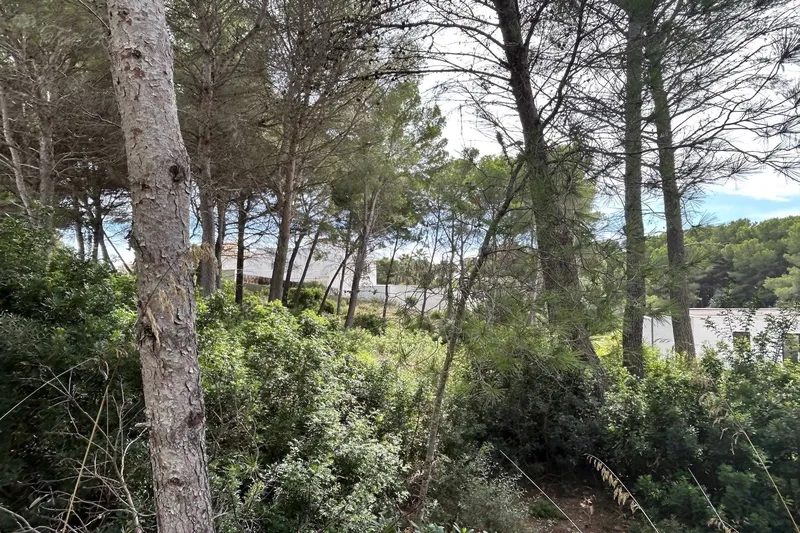 S6 - Plot for sale in Font de Sa — photo 5