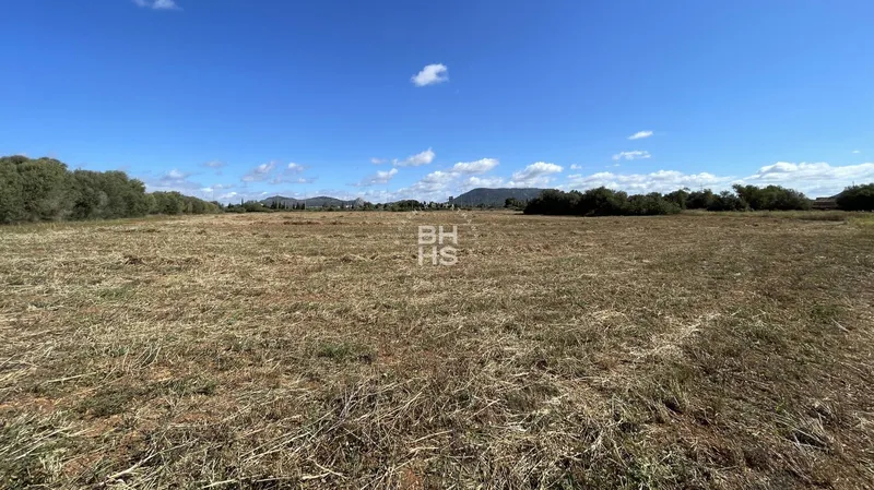 Country plot for sale in Llucmajor — photo 3