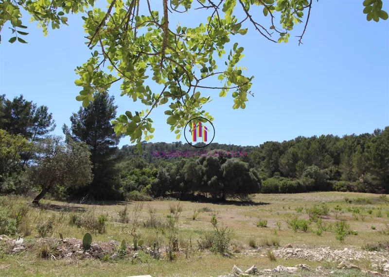 HOUSE RENOVATED ON A PLOT OF 1500 M2! — photo 1