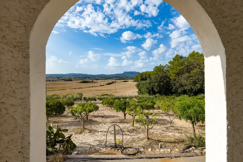 Rustic finca with panoramic views in Algaida, ideal for growing vines and olive trees. — photo 5