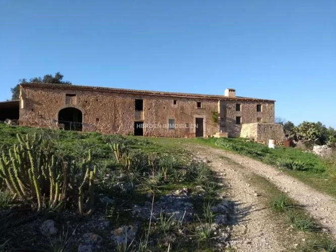 Renovation Project - Finca Manacor Mallorca for Sale — photo 7