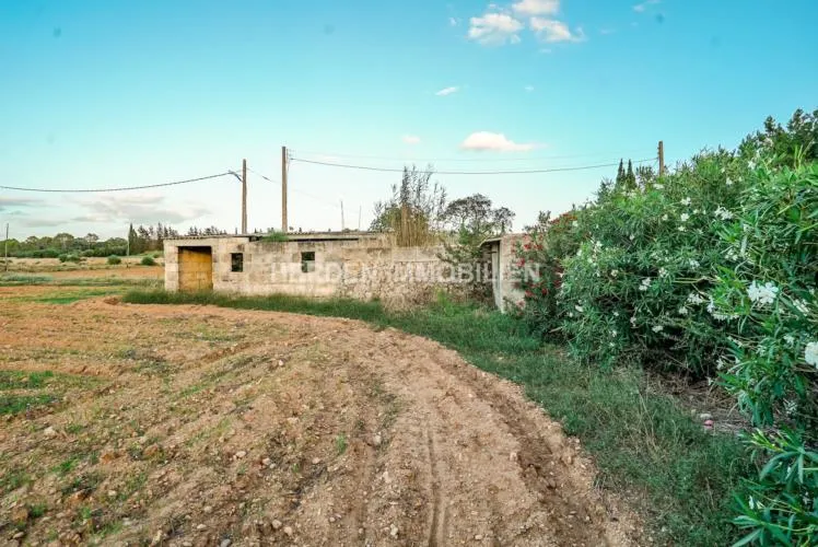 Spacious building plot for sale in Muro, Mallorca — photo 5