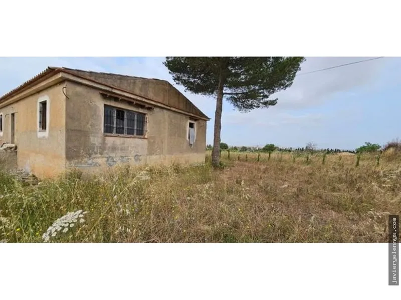 Rustic finca for sale in Manacor Centro — photo 2