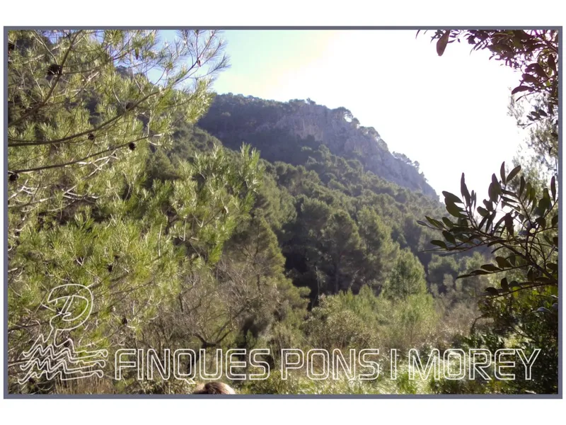 Land - Ref. [redacted] — photo 4