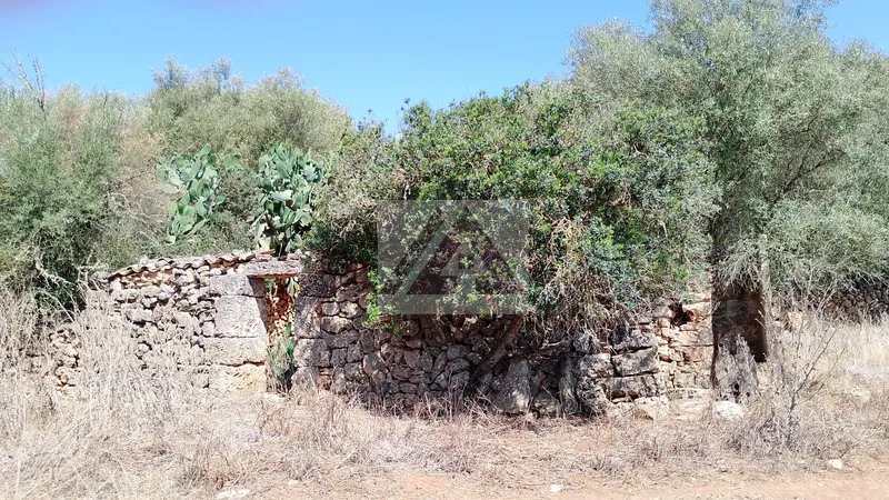 Rural land for sale in Felanitx — photo 2