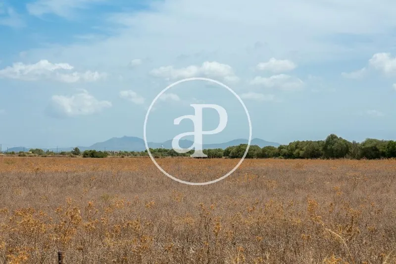Land in Campos, Province of Balearic Islands — photo 4