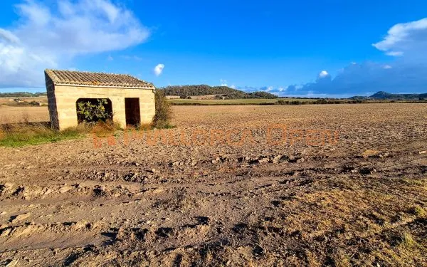 Buildable rustic plot for sale in Montuïri — photo 9