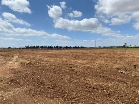 Rural Land - Sa Pobla (Ronda), Plot Surface 17421m², Distance to the Sea 10 km — photo 5