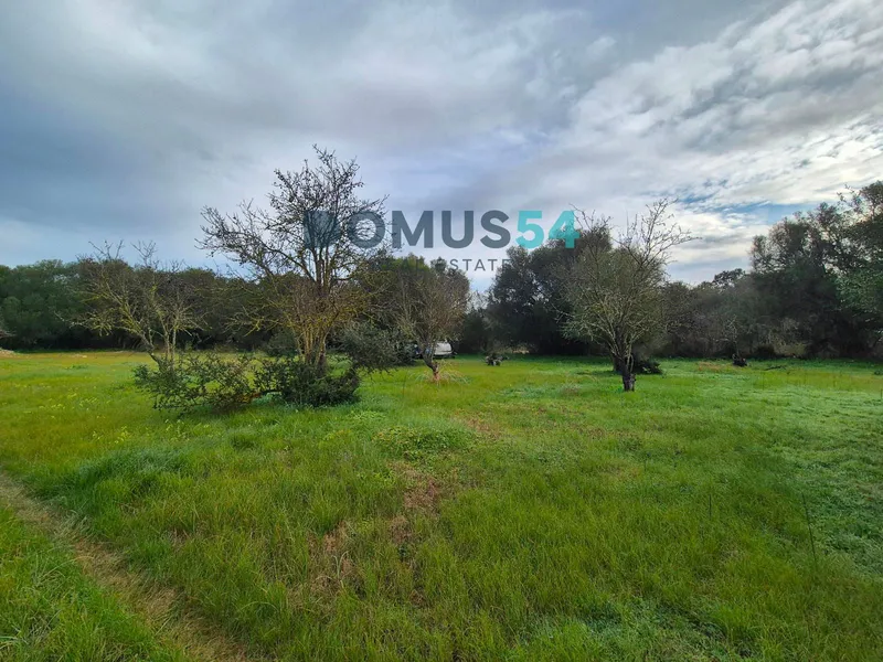 Rustic land for building in Buger — photo 5