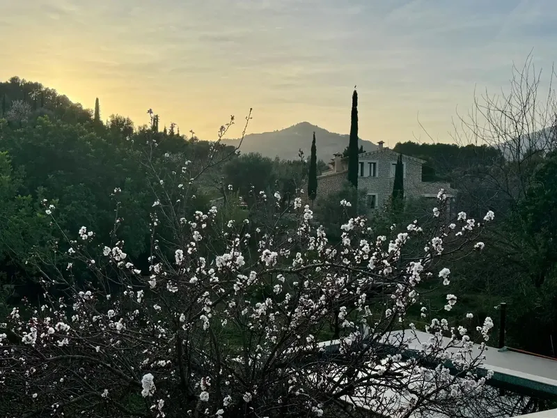 Finca Mallorquina con piscina y vistas a la Serra de Tramontana en Selva — photo 3