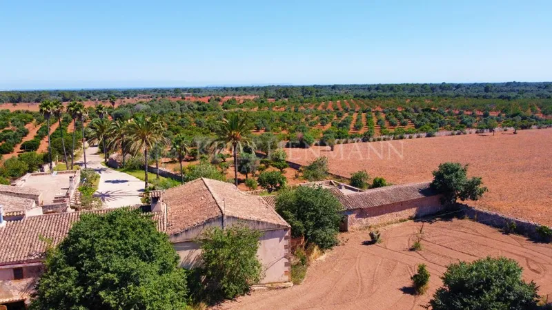 Large Country Estate to reform in Llucmajor — photo 9
