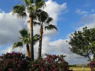 Prime location near Porto Cristo — beautiful finca for sale — photo 6