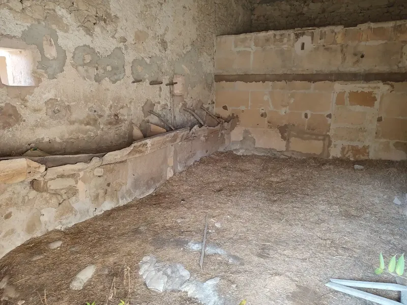 Rustic estate for sale in the municipality of Petra, Son Maimo area, known as Son Metlet — photo 10