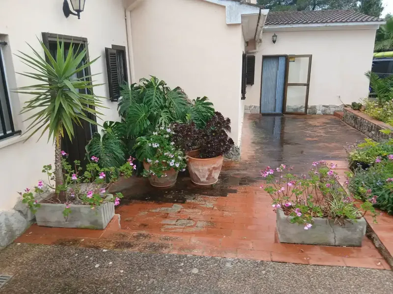 vendo hermosa finca en inca, tiene 1700 m2 de solar, con un chalet de140 m2 escriturados,la vivienda.tiene agua del puebloy luz de gesa , y  — photo 1
