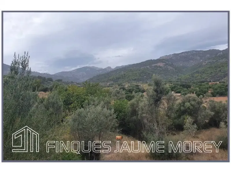 Discover your perfect refuge in nature! This charming rustic mountain property, located at the foot of the majestic Tramuntana mountain range — photo 5