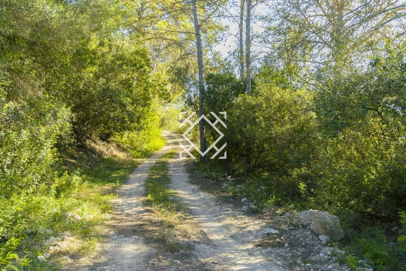 Exclusive rustic plot for sale in Costitx with project for a house and swimming pool, in the heart of Mallorca. — photo 8