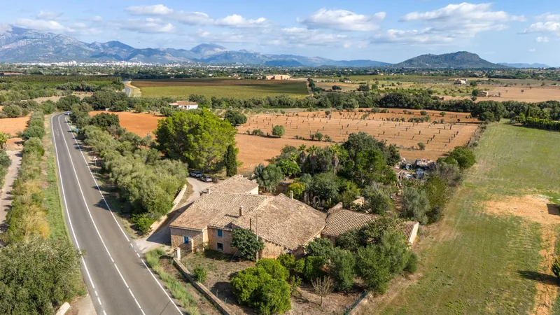 Finca with large plot in Sencelles — photo 3
