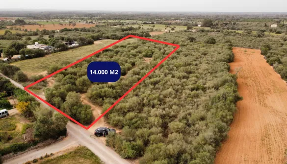 Plot in Campos — photo 1