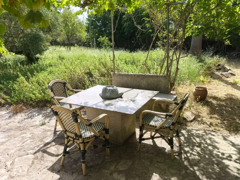 Beautiful finca in Sa Pobla, with 3300 m2, and house of 56 m2, with 1 bedroom, bathroom, living-dining room with fireplace, and kitchen, no electricity, works — photo 11