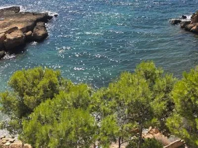 Apartment - Calvià (Santa Ponsa) , Built Surface 45m 2 , 1 Room, 1 Bathrooms, 20 Distance to the sea, Lift, Pool,... — photo 3