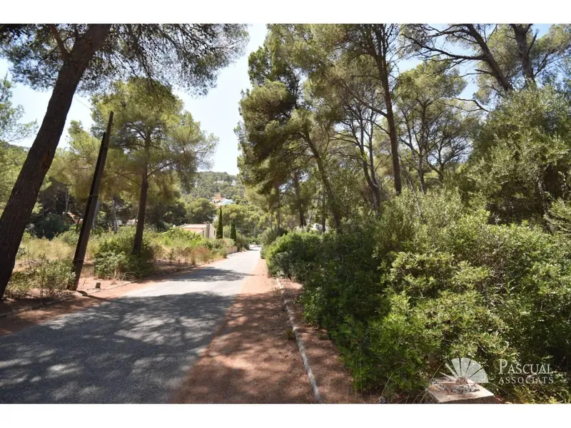 Plot on the coast of Canyamel for investment — photo 4