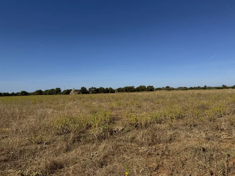 Impressive newly built Country House in Campos — photo 8