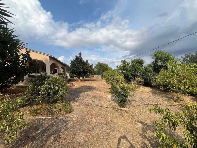 Rural or Farmhouse in Inca, Province of Balearic Islands — photo 10