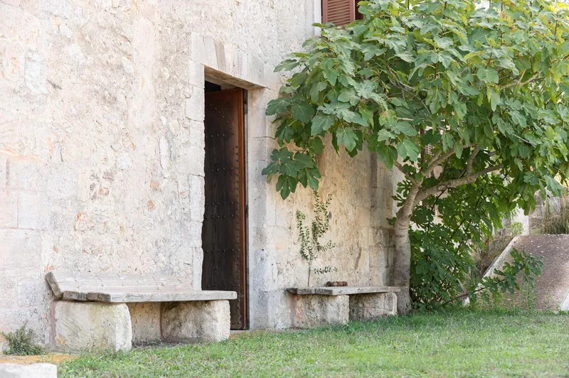 Rustic property - Sineu (Área de Sineu), Built Surface 1407m2, Plot Surface 200000m2, 5 Bedrooms, 4... — photo 9
