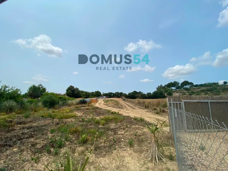 Rustic land not buildable in Maria de la Salut — photo 6