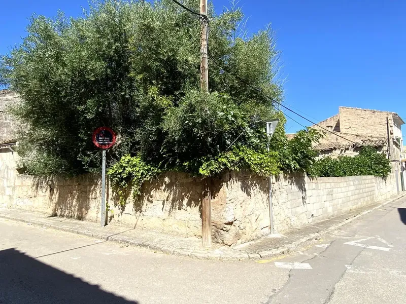 Unique opportunity in the center of Muro: Urban plot with building to renovate — photo 7