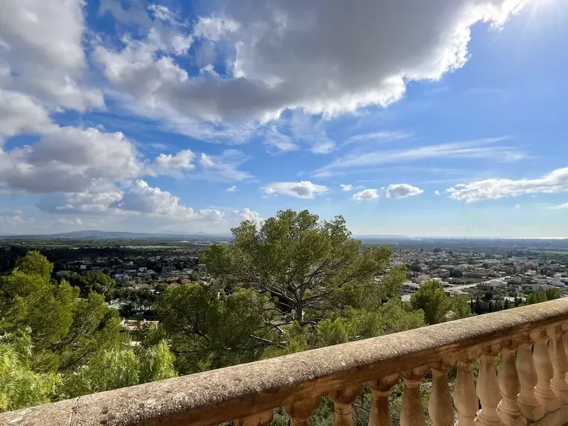 Finca in Palmanyola, Mallorca — photo 5