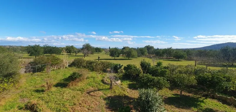 Rural or Farmhouse in Selva, Province of Balearic Islands — photo 11