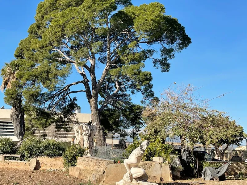 Country manor house to renovate in Pla de na Tesa, Marratxi — photo 5